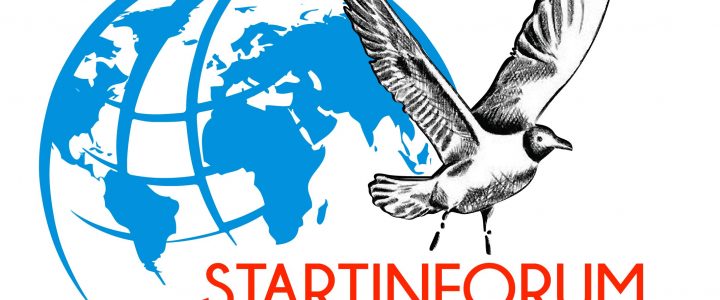 What is the Business Profile of STARTINFORUM?